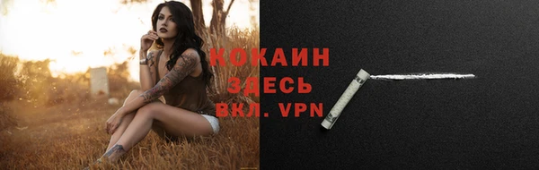 ГАЛЛЮЦИНОГЕННЫЕ ГРИБЫ Вяземский