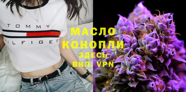 ГАЛЛЮЦИНОГЕННЫЕ ГРИБЫ Вяземский