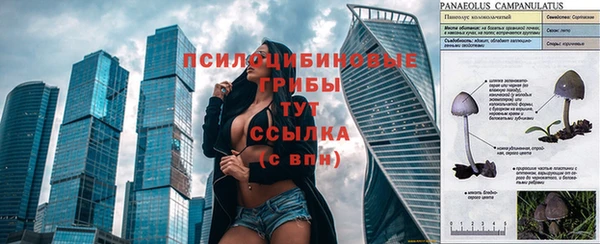 ГАЛЛЮЦИНОГЕННЫЕ ГРИБЫ Вяземский