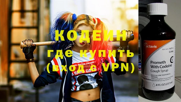 ГАЛЛЮЦИНОГЕННЫЕ ГРИБЫ Вяземский