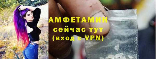 ГАЛЛЮЦИНОГЕННЫЕ ГРИБЫ Вяземский