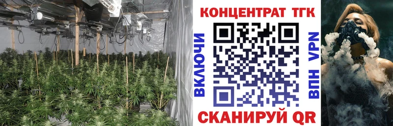 ТГК THC oil  Купить закладки  Туймазы 