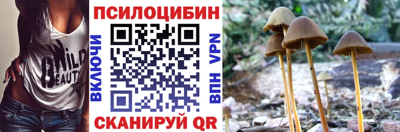 Галлюциногенные грибы мухоморы  Купить где  Туймазы 